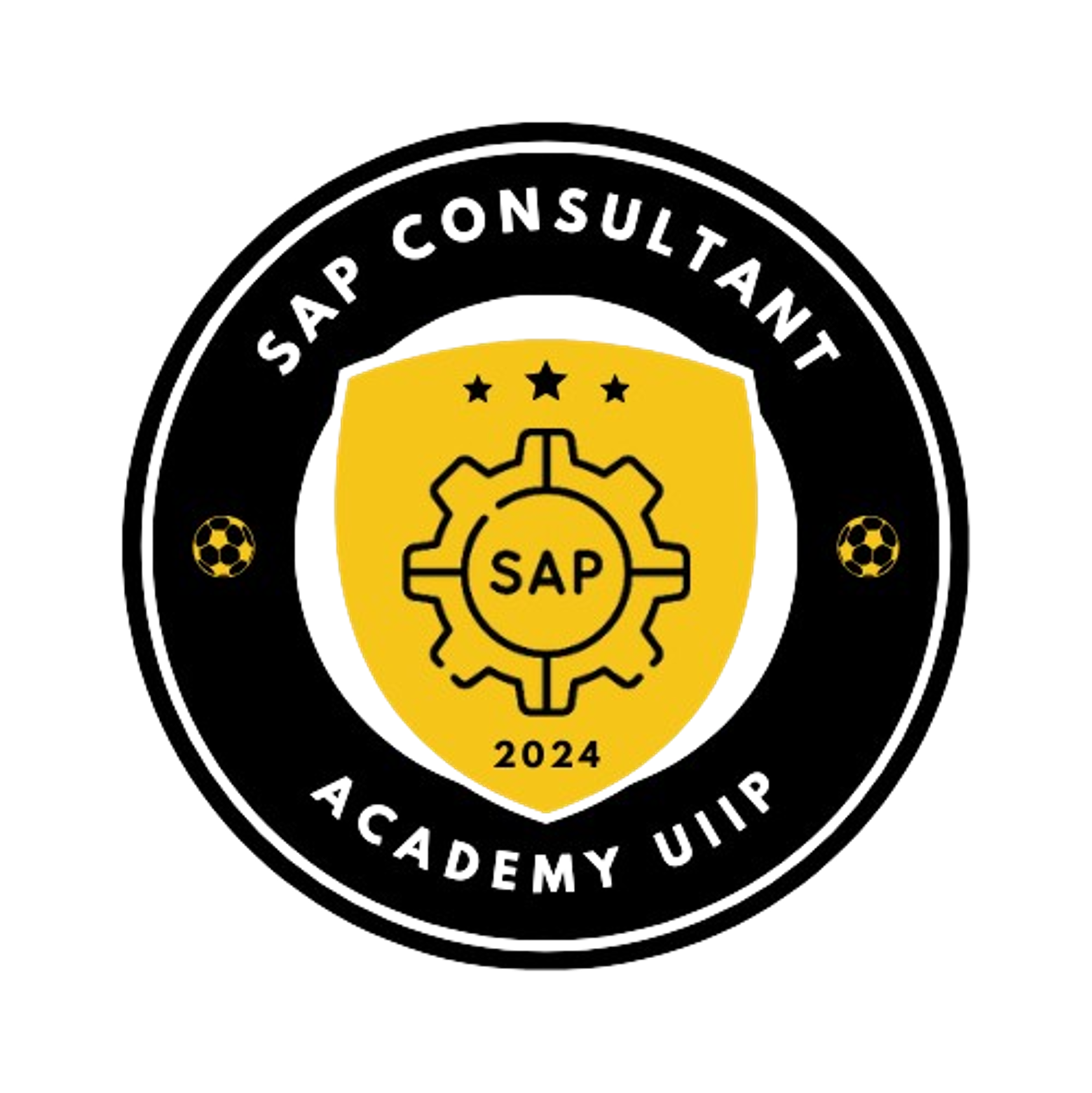 Sap Consultant Academy